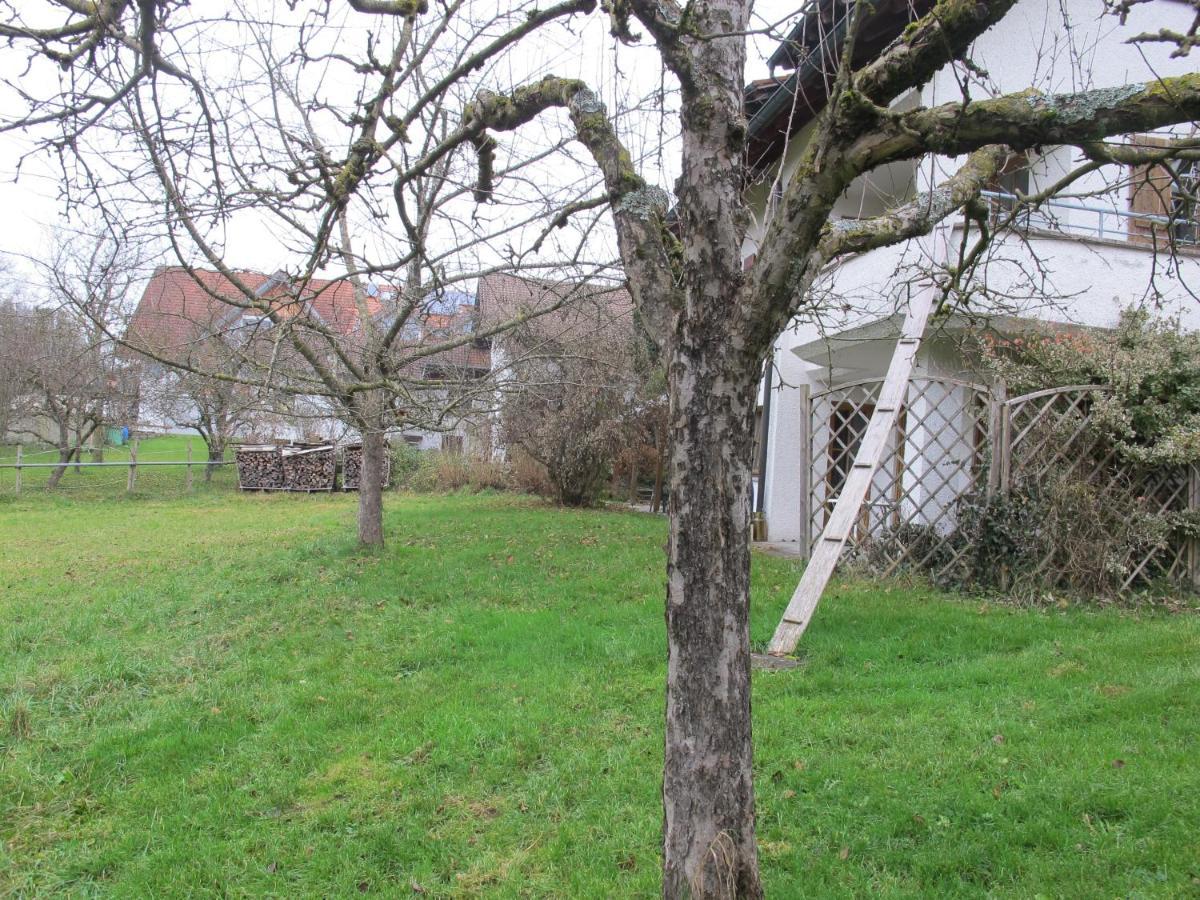 Gasthaus Adler Hotell Wangen im Allgäu Eksteriør bilde
